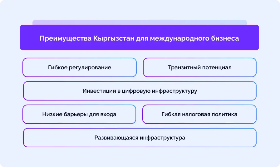 Как открыть криптобизнес в Кыргызстане: лицензирование, налоги и законы